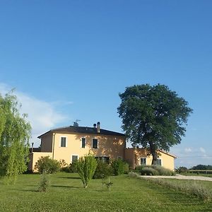 B&B Le Rose